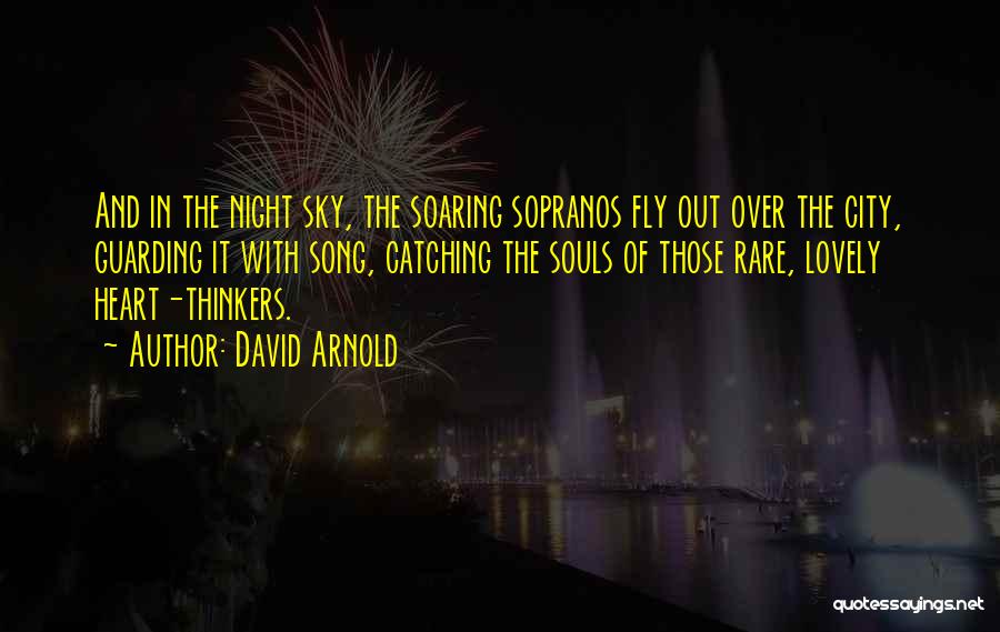 Lovely Song Quotes By David Arnold