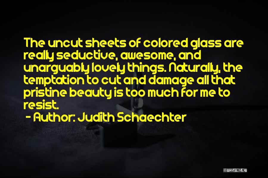 Lovely Things Quotes By Judith Schaechter