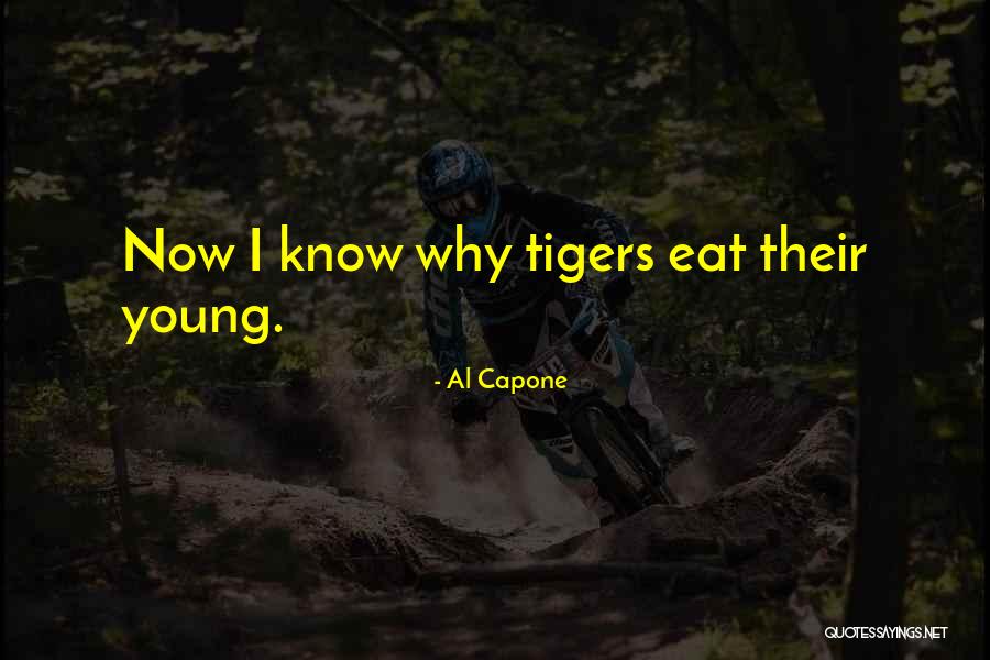 Lovelynn Gwinn Quotes By Al Capone Lovelynn Gwinn Quotes By Al Capone