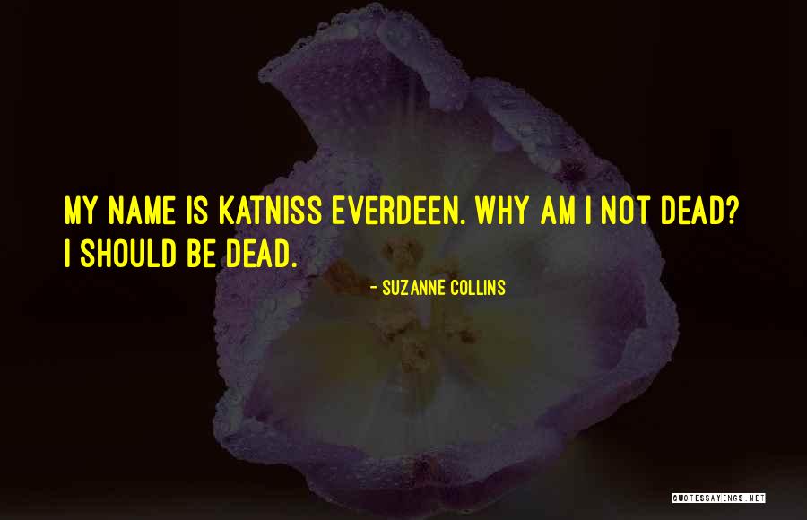 Lovequist Loop Quotes By Suzanne Collins Lovequist Loop Quotes By Suzanne Collins