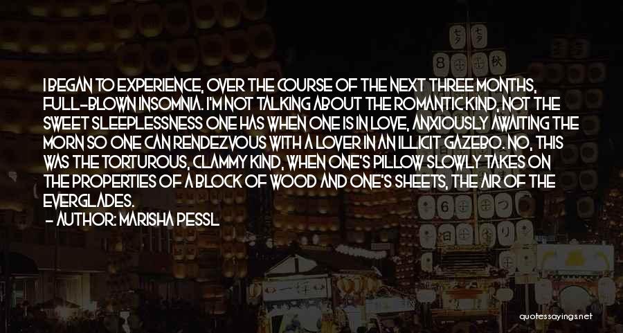 Lover Not Talking Quotes By Marisha Pessl