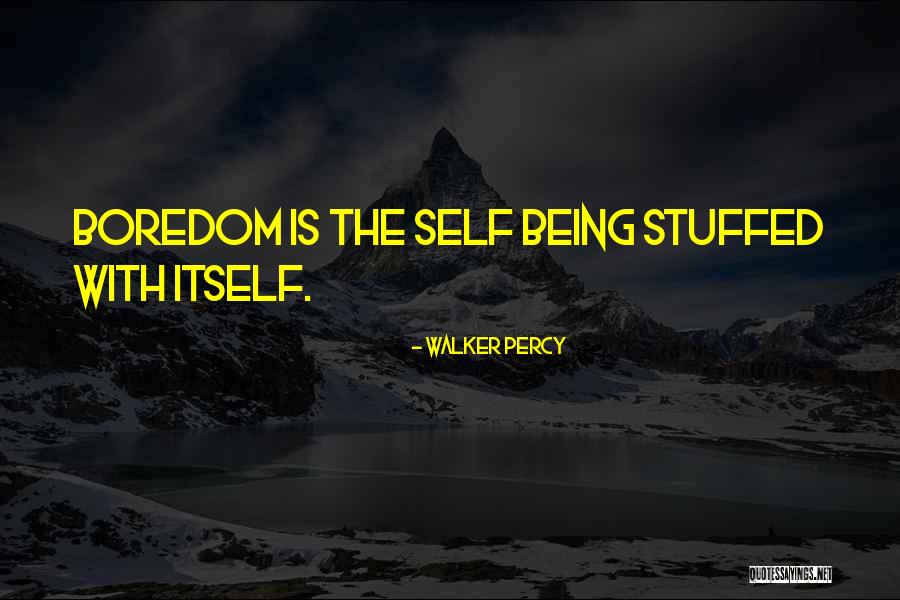 Loverro Consulting Quotes By Walker Percy Loverro Consulting Quotes By Walker Percy