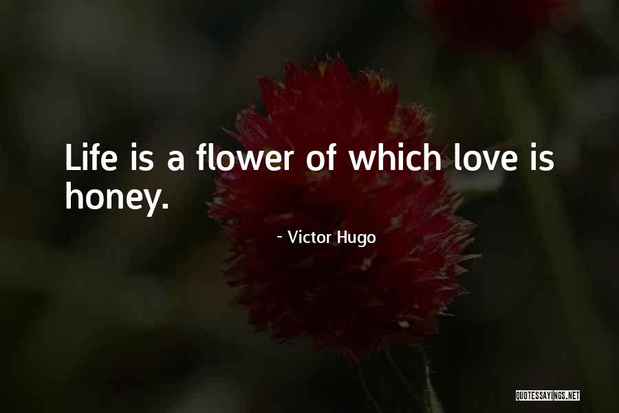 Loverro Nasa Quotes By Victor Hugo Loverro Nasa Quotes By Victor Hugo