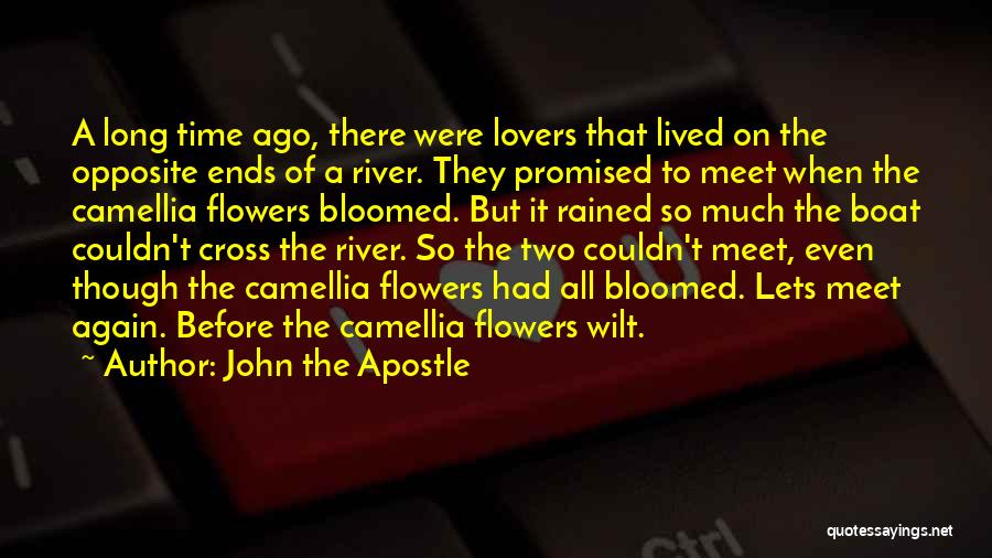 Lovers Meet Again Quotes By John The Apostle