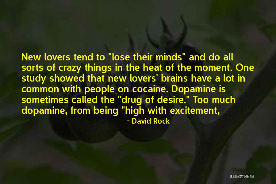 Lovers Rock Quotes By David Rock Lovers Rock Quotes By David Rock