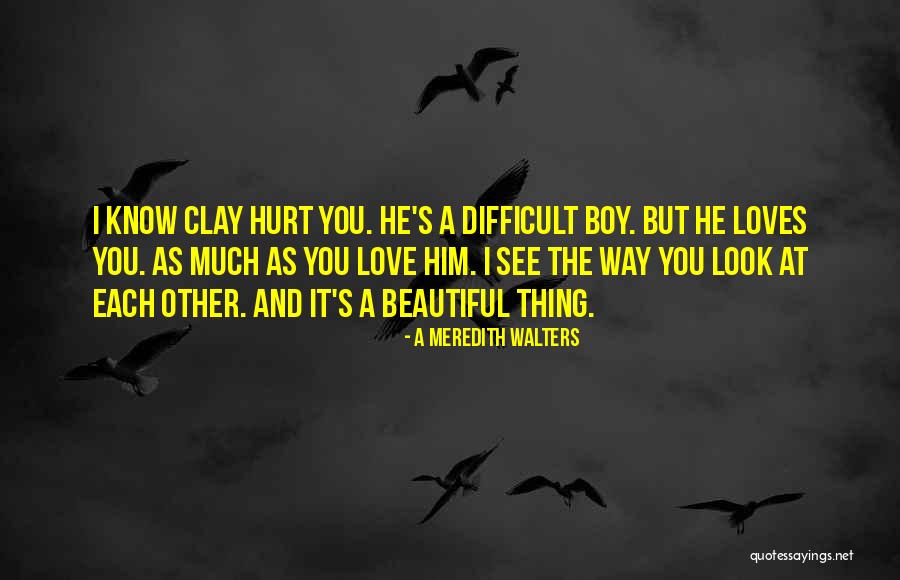 Loves Hurt Quotes By A Meredith Walters