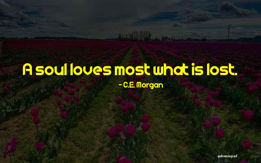 Loves Lost Quotes By C.E. Morgan