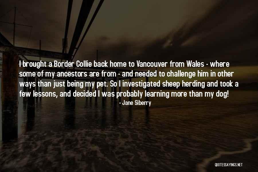Lovesick Poems Quotes By Jane Siberry Lovesick Poems Quotes By Jane Siberry
