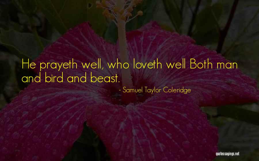 Loveth Quotes By Samuel Taylor Coleridge Loveth Quotes By Samuel Taylor Coleridge