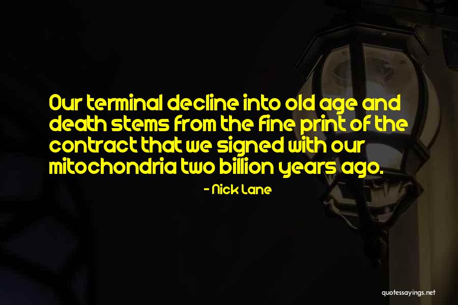 Loving A Widower Quotes By Nick Lane Loving A Widower Quotes By Nick Lane