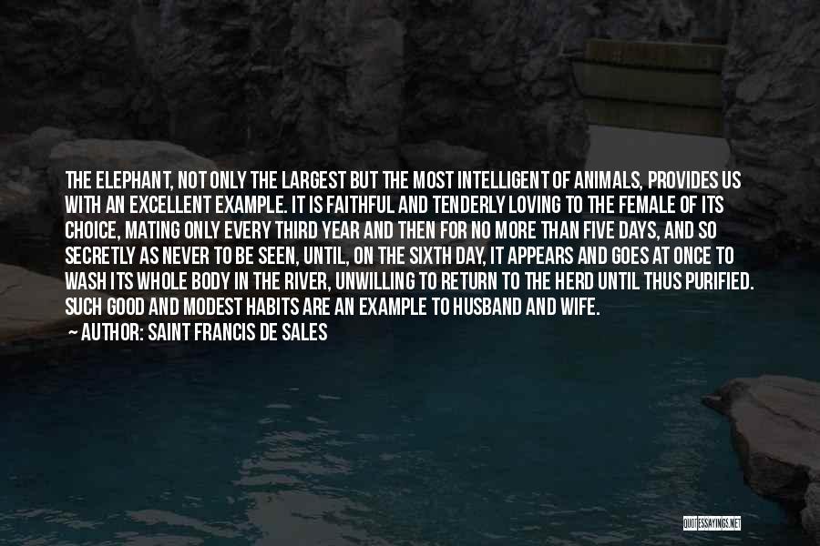 Loving Animals Quotes By Saint Francis De Sales