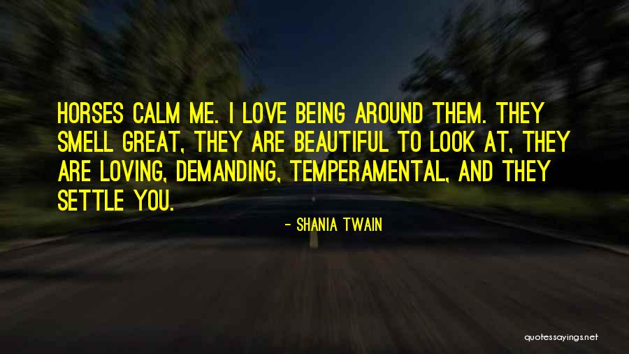 Loving Being Around Someone Quotes By Shania Twain Loving Being Around Someone Quotes By Shania Twain
