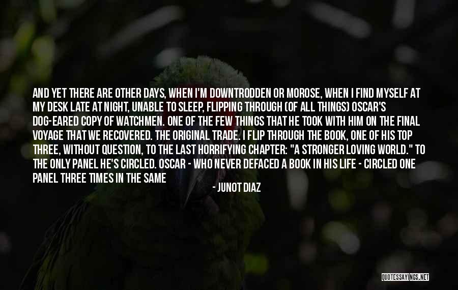 Loving City Life Quotes By Junot Diaz