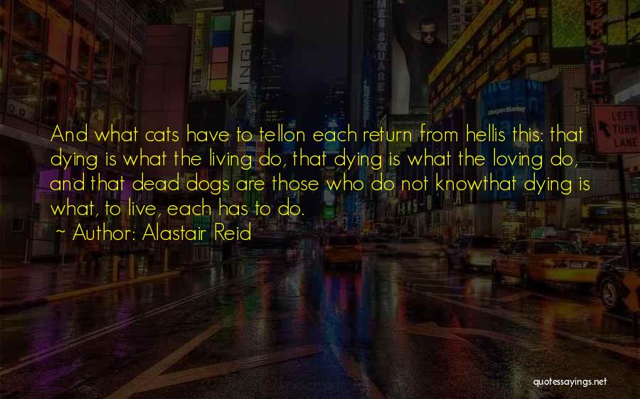 Loving Dogs And Cats Quotes By Alastair Reid Loving Dogs And Cats Quotes By Alastair Reid
