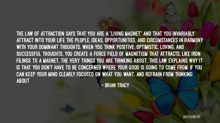 Loving Everything About Her Quotes By Brian Tracy