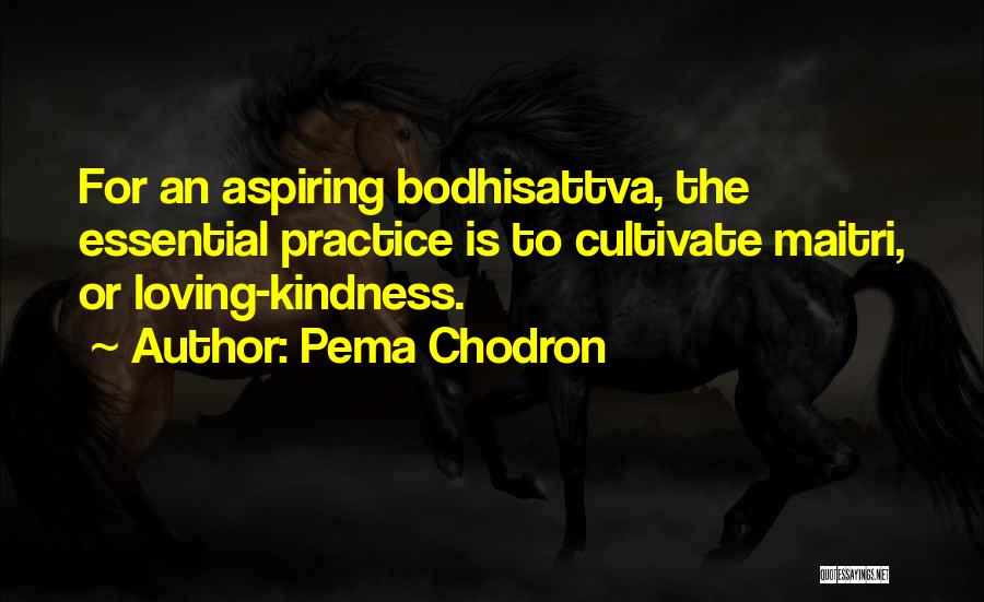 Loving Kindness Quotes By Pema Chodron