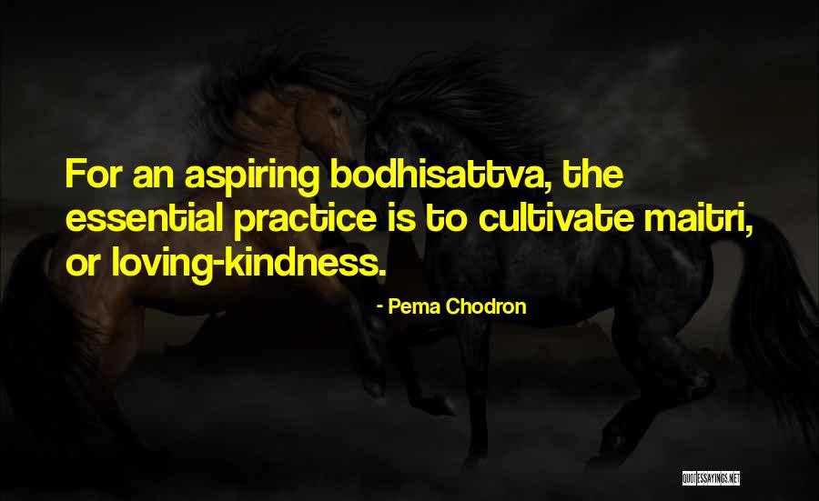 Loving Kindness Quotes By Pema Chodron