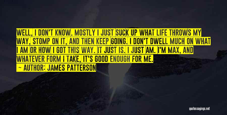 Loving Life For What It Is Quotes By James Patterson