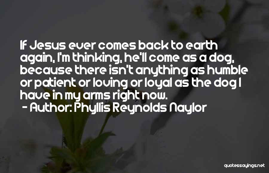 Loving My Dog Quotes By Phyllis Reynolds Naylor