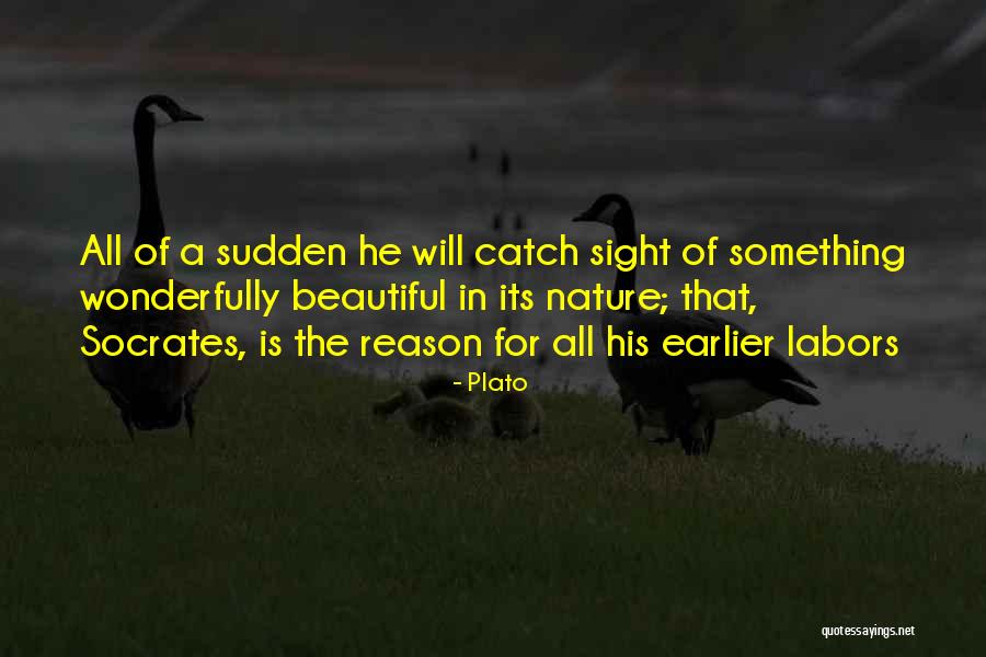 Loving Nature Quotes By Plato