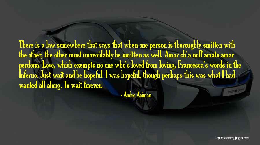 Loving One Person Quotes By Andre Aciman