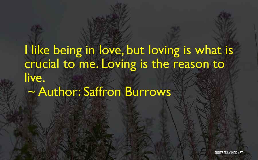 Loving Someone For No Reason Quotes By Saffron Burrows