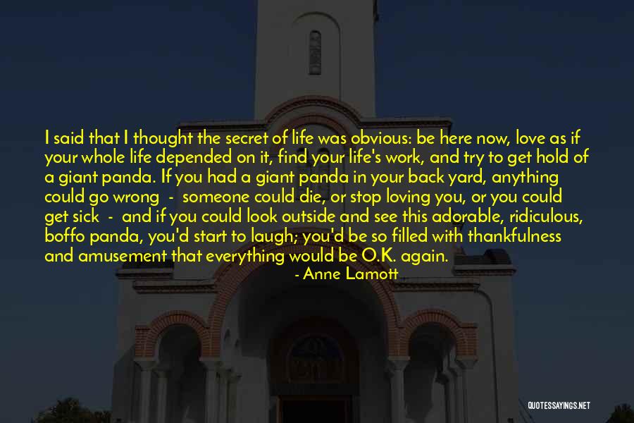 Loving Someone In Secret Quotes By Anne Lamott Loving Someone In Secret Quotes By Anne Lamott