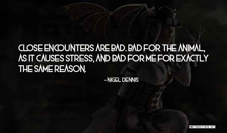 Loving The Real Person Quotes By Nigel Dennis Loving The Real Person Quotes By Nigel Dennis