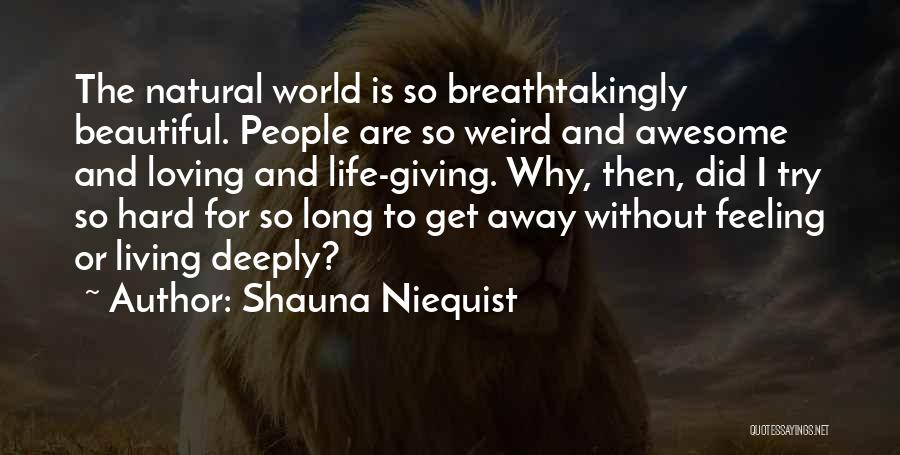 Loving Too Deeply Quotes By Shauna Niequist