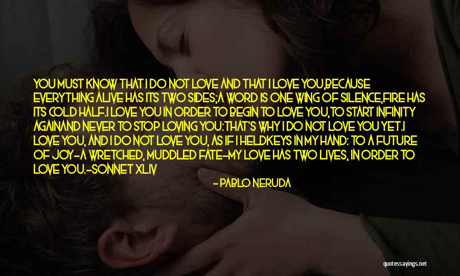 Loving You Is Everything Quotes By Pablo Neruda