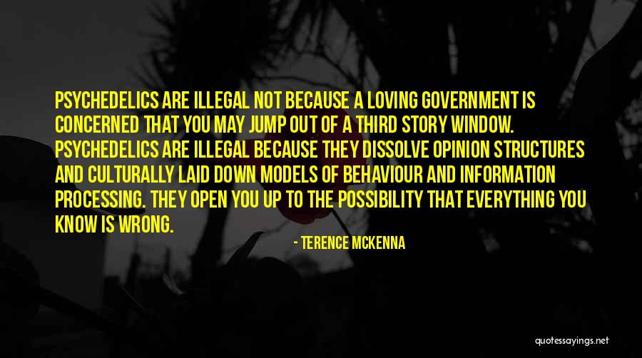 Loving You Is Everything Quotes By Terence McKenna Loving You Is Everything Quotes By Terence McKenna