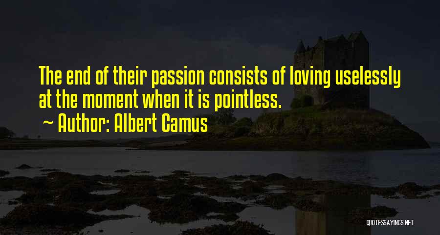 Loving You Is Pointless Quotes By Albert Camus