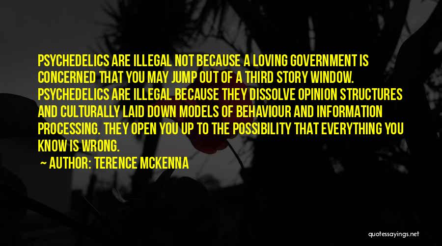 Loving You Is Wrong Quotes By Terence McKenna