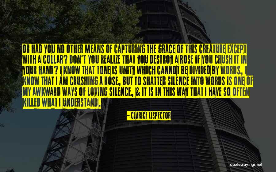 Loving You Means Quotes By Clarice Lispector Loving You Means Quotes By Clarice Lispector