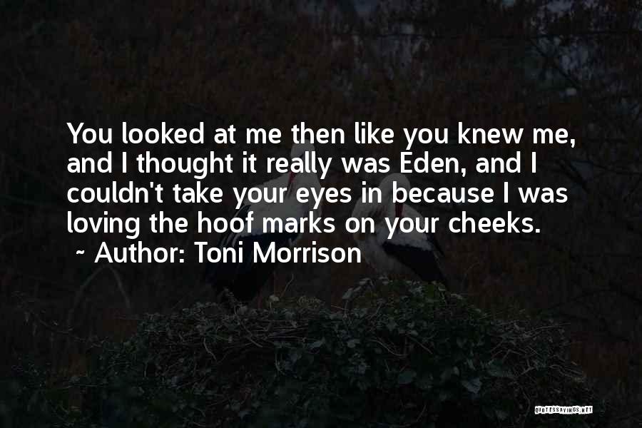 Loving You Was Like Quotes By Toni Morrison
