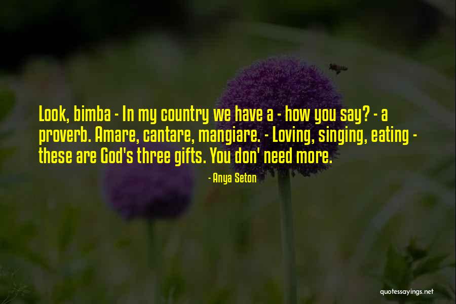 Loving Your Country Quotes By Anya Seton Loving Your Country Quotes By Anya Seton