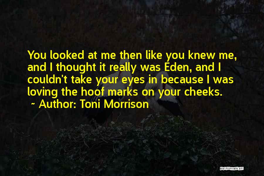 Loving Your First Love Quotes By Toni Morrison