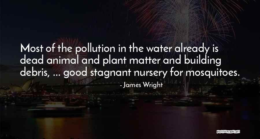 Loving Your Pet Quotes By James Wright Loving Your Pet Quotes By James Wright