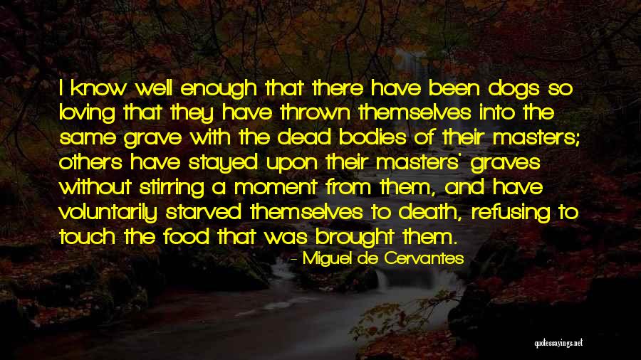 Loving Your Pet Quotes By Miguel De Cervantes Loving Your Pet Quotes By Miguel De Cervantes