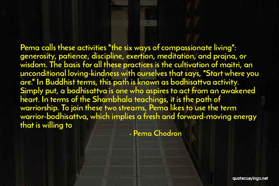 Loving Yourself And Moving On Quotes By Pema Chodron Loving Yourself And Moving On Quotes By Pema Chodron