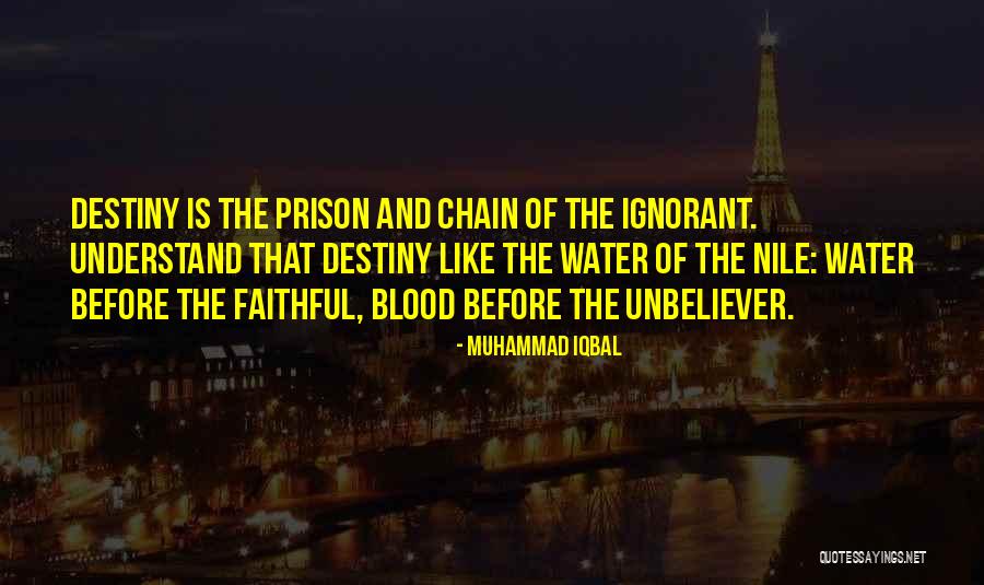 Lovituri Cauzatoare Quotes By Muhammad Iqbal Lovituri Cauzatoare Quotes By Muhammad Iqbal