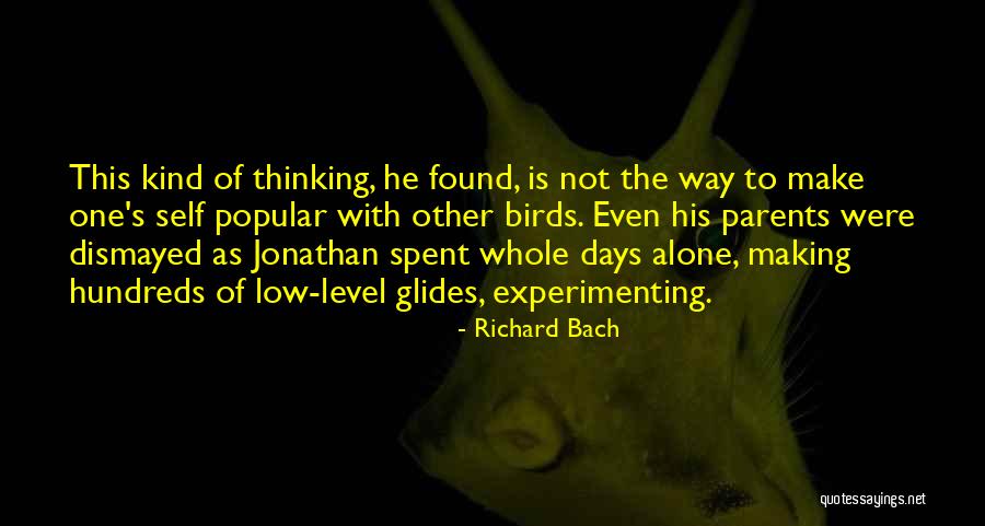 Low Days Quotes By Richard Bach Low Days Quotes By Richard Bach
