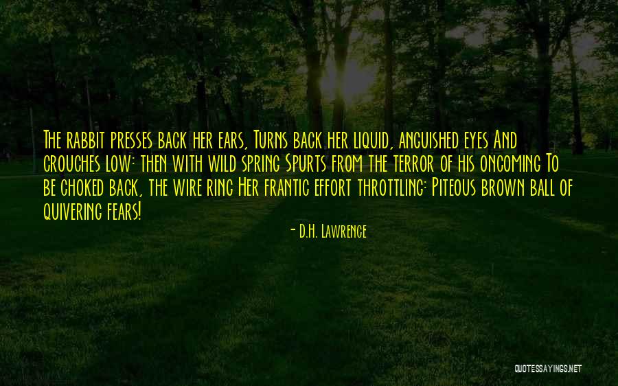 Low Effort Quotes By D.H. Lawrence Low Effort Quotes By D.H. Lawrence