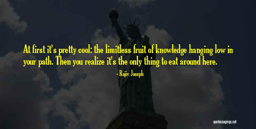 Low Hanging Fruit Quotes By Rajiv Joseph