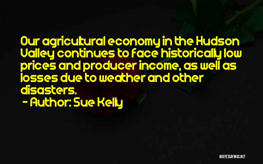 Low Income Quotes By Sue Kelly