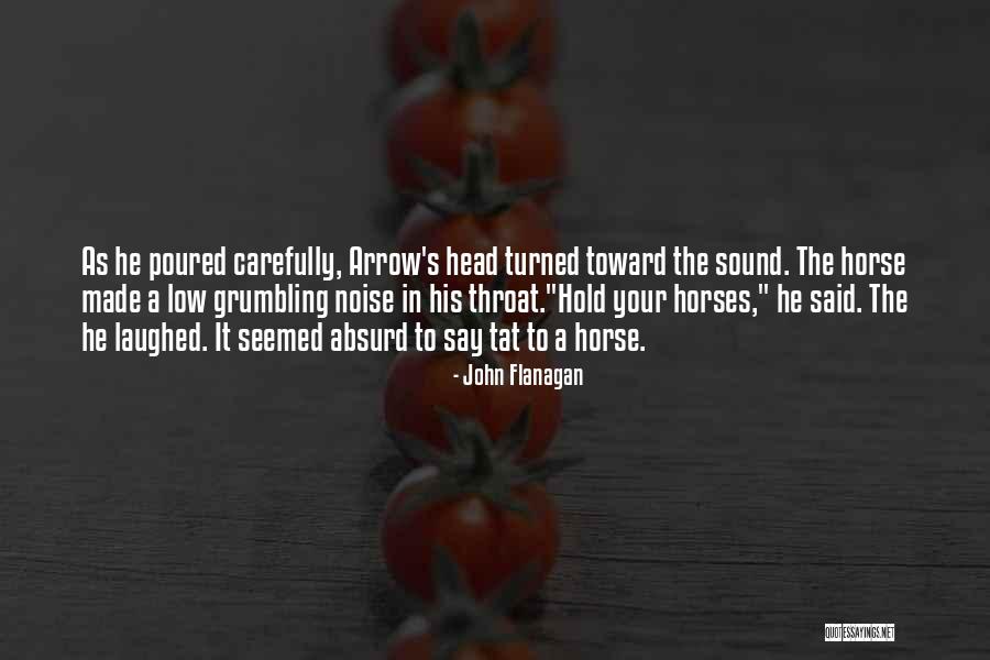 Low Noise Quotes By John Flanagan Low Noise Quotes By John Flanagan