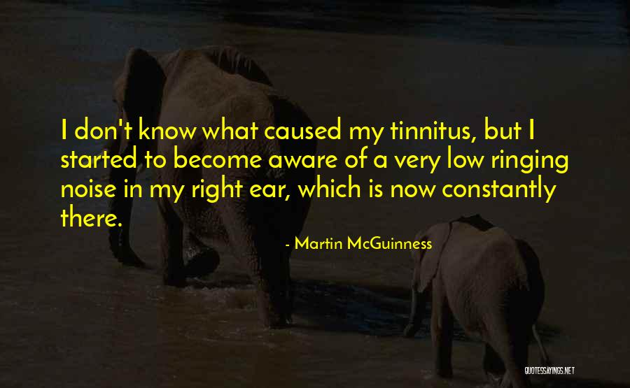 Low Noise Quotes By Martin McGuinness Low Noise Quotes By Martin McGuinness
