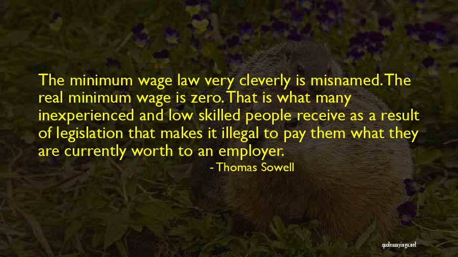 Low Pay Quotes By Thomas Sowell Low Pay Quotes By Thomas Sowell