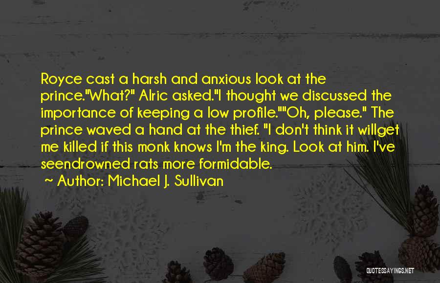 Low Profile Quotes By Michael J. Sullivan