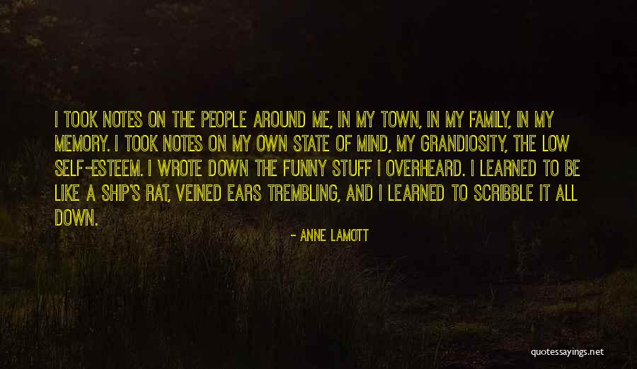 Low Self Esteem Quotes By Anne Lamott